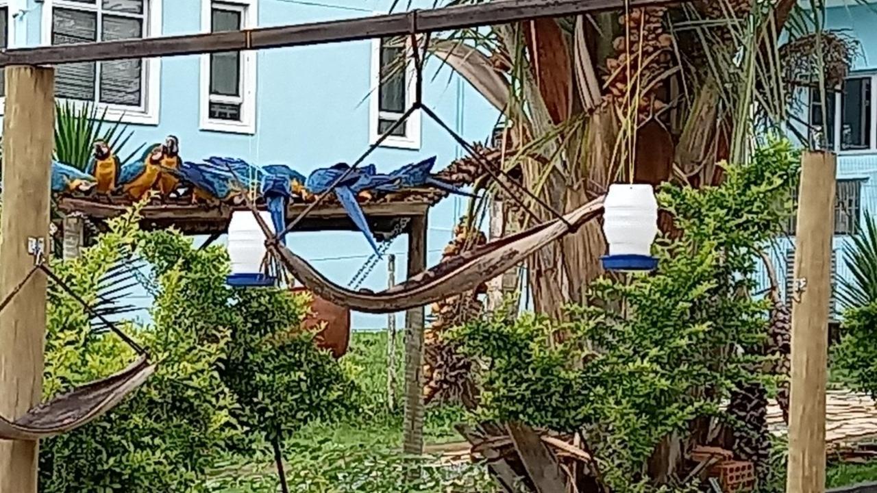 Inn Canto Dos Passaros Alto Paraiso de Goias